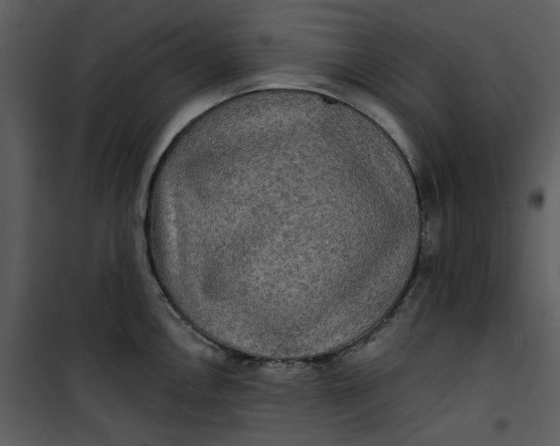 X0000101161146200807181352