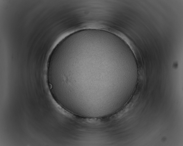 X0000101161147200807181352