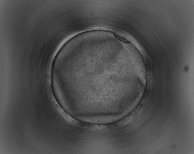 X0000101161148200807181352