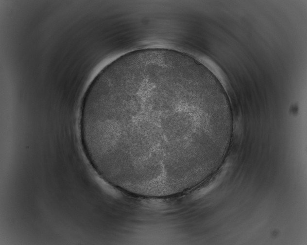 X0000101161149200807181352