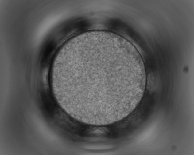 X0000101161150200807181352