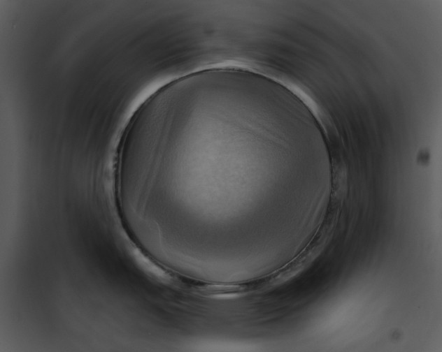 X0000101161151200807181352