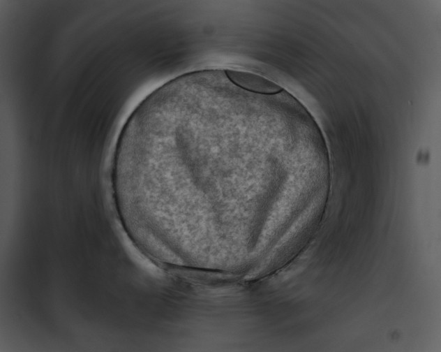 X0000101161152200807181352