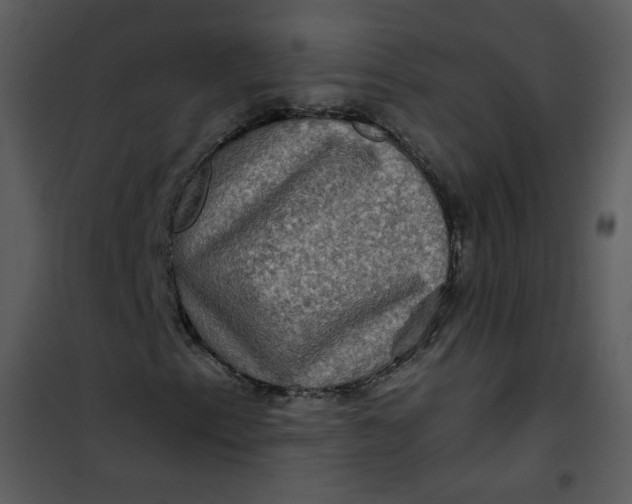 X0000101161153200807181352