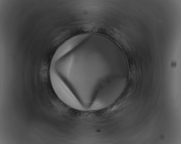 X0000101161154200807181352