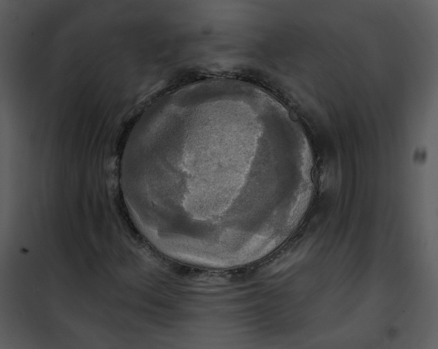 X0000101161156200807181352