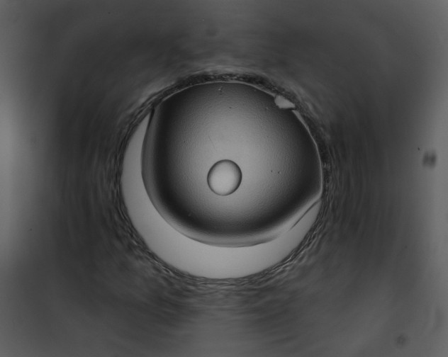 X0000101161157200807181352