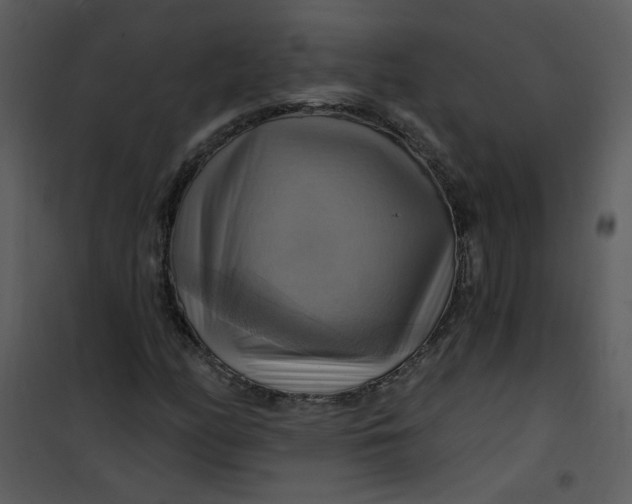 X0000101161158200807181352