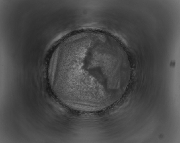 X0000101161159200807181352