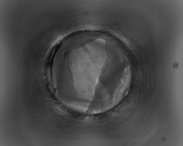 X0000101161160200807181352