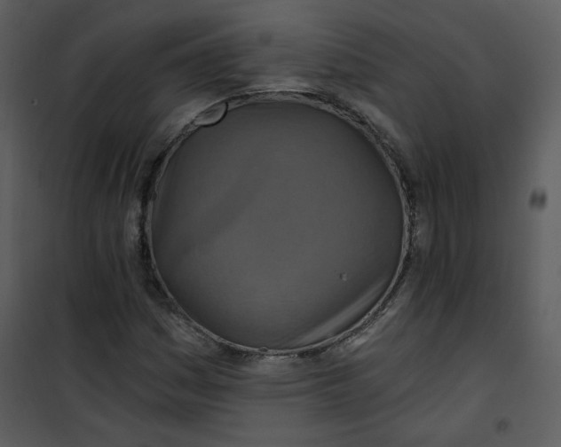 X0000101161161200807181352