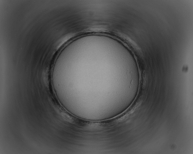 X0000101161162200807181352