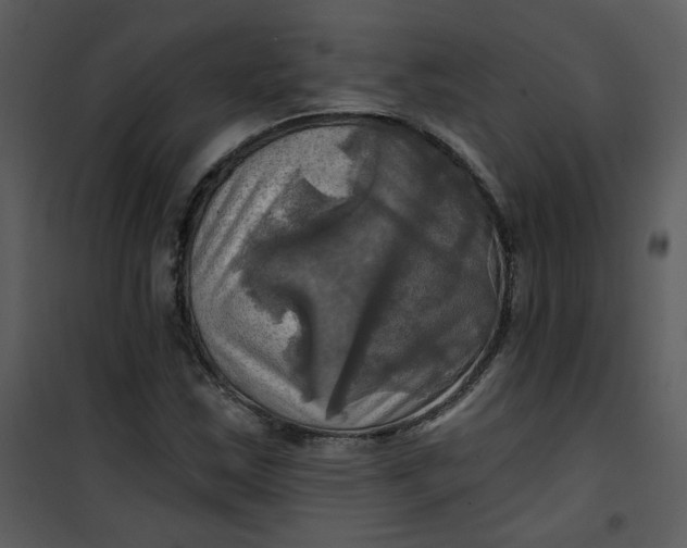 X0000101161163200807181352