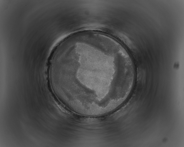 X0000101161164200807181352