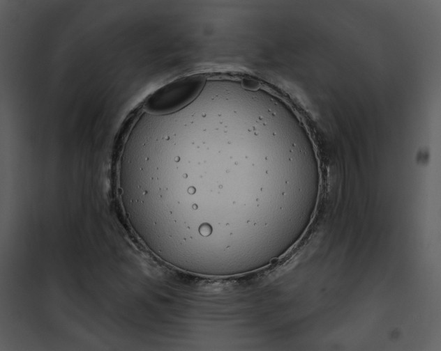 X0000101161165200807181352