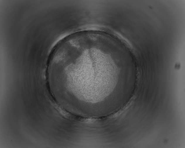 X0000101161166200807181352