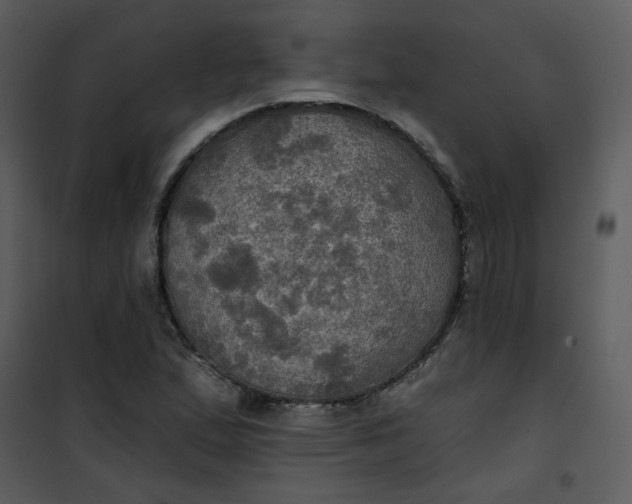 X0000101161167200807181352