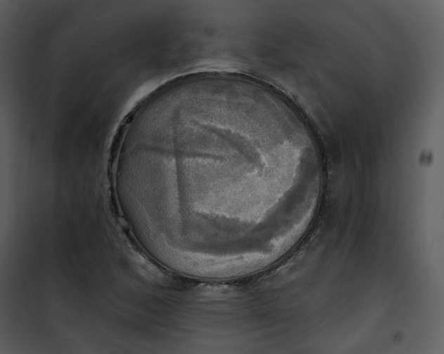 X0000101161168200807181352