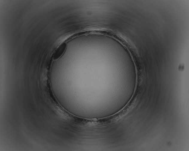 X0000101161169200807181352