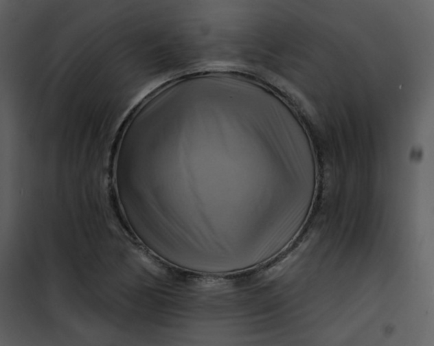 X0000101161170200807181352