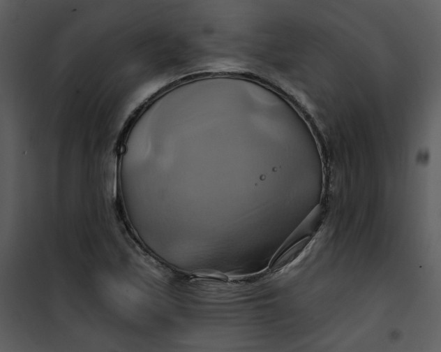 X0000101161171200807181351