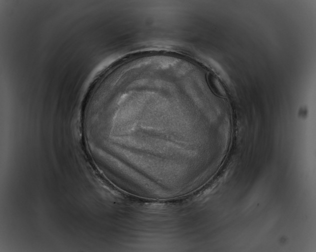 X0000101161172200807181351