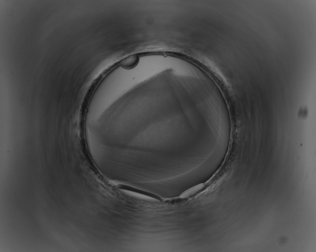 X0000101161173200807181351