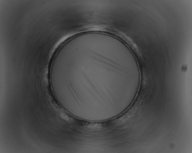 X0000101161174200807181351