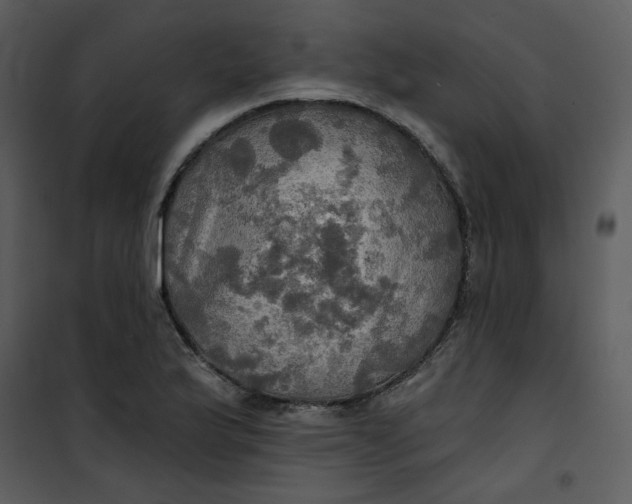 X0000101161175200807181351