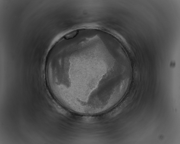 X0000101161176200807181351