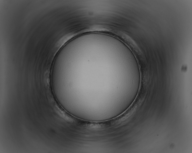 X0000101161177200807181351