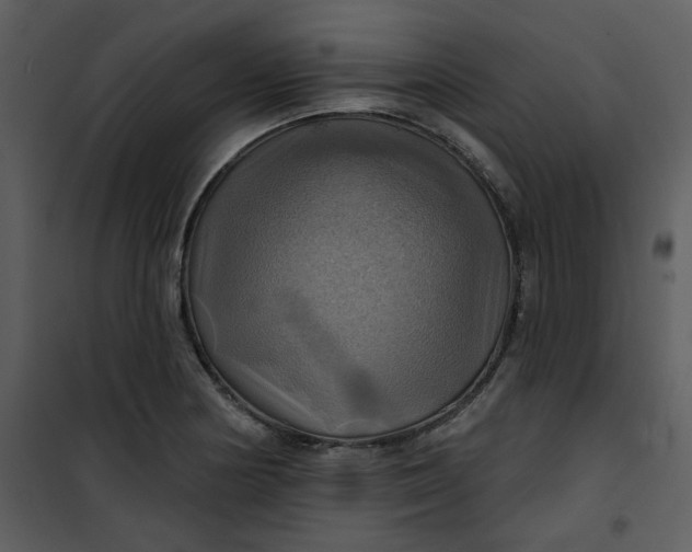 X0000101161178200807181351