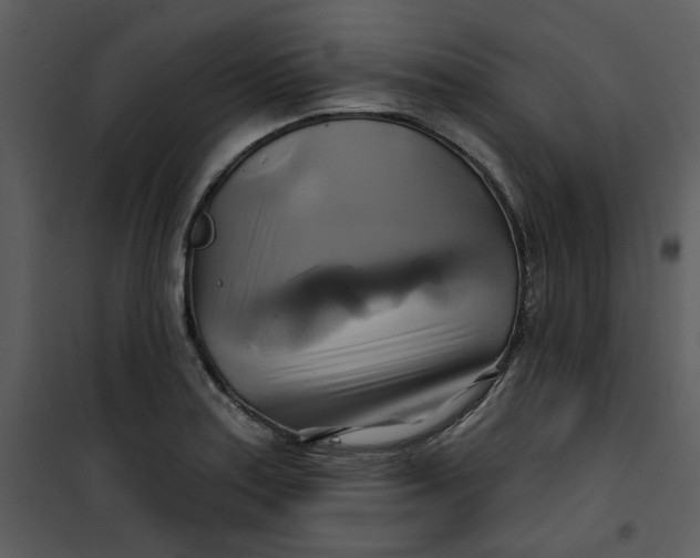 X0000101161179200807181351