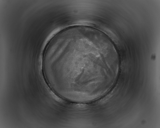 X0000101161180200807181351