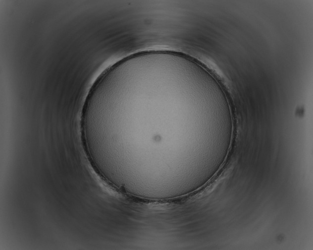 X0000101161181200807181351