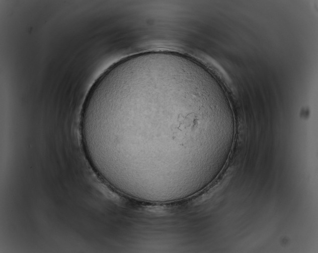 X0000101161182200807181351