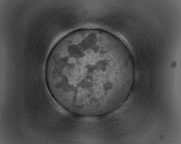 X0000101161183200807181351