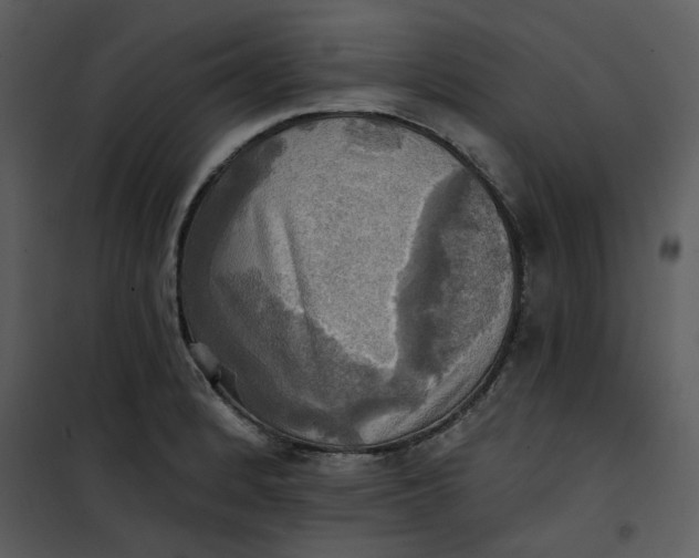 X0000101161184200807181351