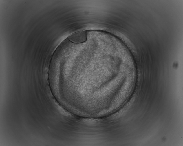 X0000101161185200807181351