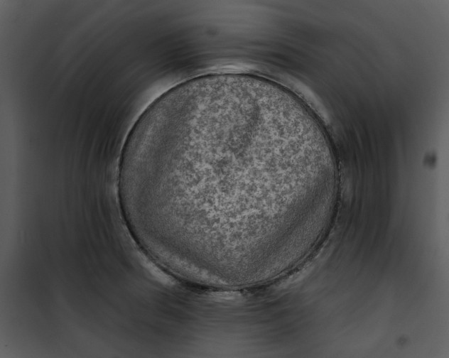 X0000101161186200807181351