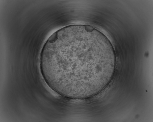 X0000101161187200807181351