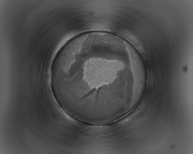 X0000101161188200807181351