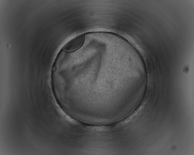 X0000101161189200807181351