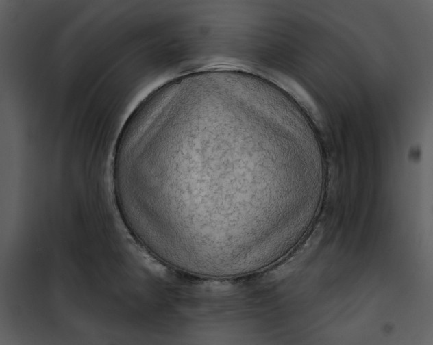 X0000101161190200807181351