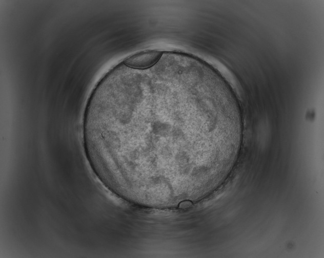 X0000101161191200807181351