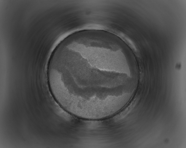 X0000101161192200807181351