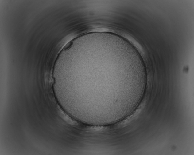 X0000101161193200807181351