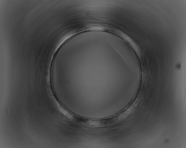 X0000101161194200807181351