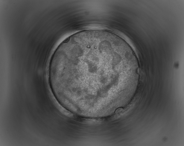 X0000101161195200807181351