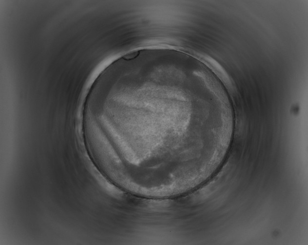 X0000101161196200807181351